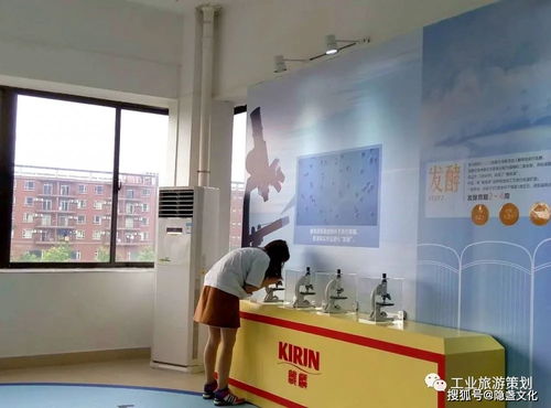 麒麟一番榨 暢享純正啤酒之旅，盡在觀(guān)光工廠(chǎng)與貼心服務(wù)
